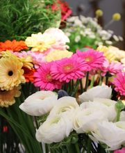 Oya Fleurs image 8