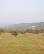 Les Ecuries D'aurabelle image 7