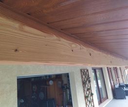 Termites Master image 8