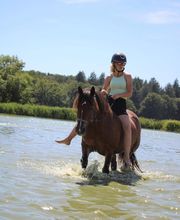 Les Poneys de Monthoiron image 5