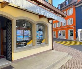 VB Immobilier Sàrl Bild 1