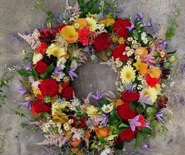 Blumen Hirter Bild 6