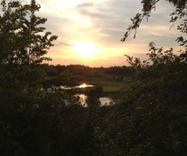 Abendstimmung auf dem Golfplatz