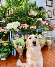 Fior Fleurs image 12