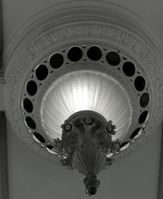 Muschel Alexandre image 5