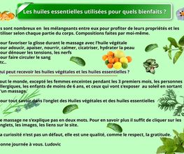 Ludovic Massages image 17