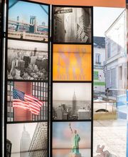 Cars Collard image 7