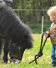Club équestre St Julien image 4
