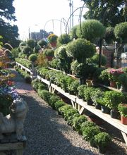 Pemberton Farms Marketplace image 2