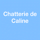 Chatterie de caline : Élevage et vente de chatons Sacré de birmanie