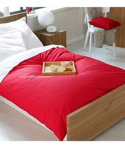 Artisanat polonais Couette Edredon Pierzyna Oreiller Richardson Disquaire image 4