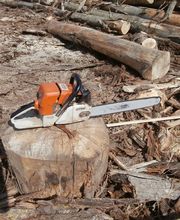 Scierie Du Chene Aux Moines image 6