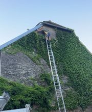 Satory Dylan image 2