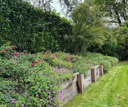 AV Jardin Bild 8