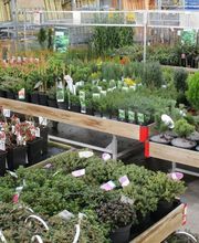 HELLWEG - Die Profi-Baumärkte Deulowitz Bild 15