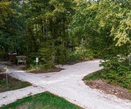 FriedWald Blaubeuren Bild 9