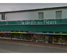 Capucine image 3