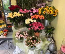 Blumengeschäft Efeulaube Bild 3
