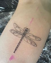 Line Tattoo & Piercing Heilbronn Bild 3