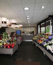 Carrément Fleurs - Fleuriste Le Passage Agen 47 - Livraison de fleurs à domicile image 5