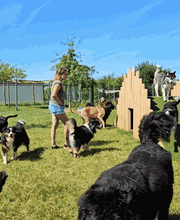 Le Domaine de Noisette image 7