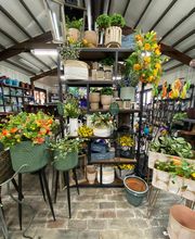 Laurie's Naturescapes image 11