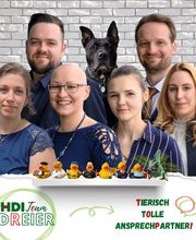 HDI Versicherung Heidenau: Agentur Dreier