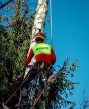 Buchholz Garten- und Baumpflege Bild 1
