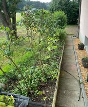 Zbinden Paysage Bild 2