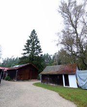 Tierpension Haas Bild 9