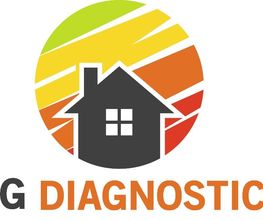 Ng Diagnostics image 1