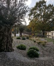 Gs Giardini di Gigliotti Santo e Pasquale Bild 5