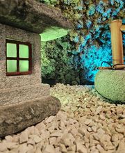 Acupuntura em Brasília - Eli Formiga imagen 18