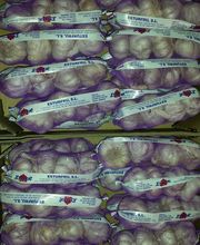 CEBESTUR,S.L. imagen 4