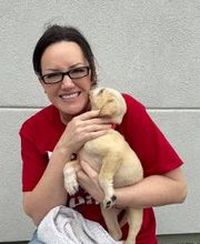 Parks Jones Realty image 8