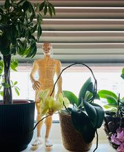 TCMZONE Gesundheitspraxis Bild 8