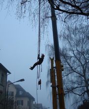 Hatt Gartenbau Bild 8