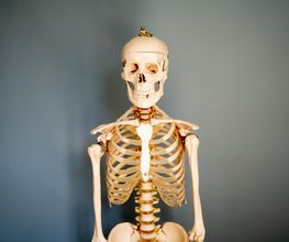 P&P Physiotherapie Bild 4