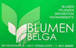 Blumen Belga