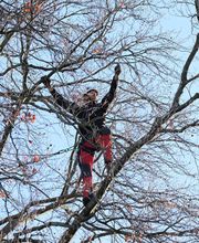 Alabor Gartenbau AG Bild 6