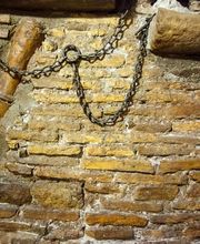 Gallery Professionale