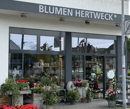 Blumen Hertweck Bild 2