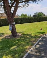 Lowson Paysage image 6