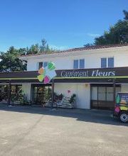 Carrément Fleurs - Fleuriste Eysines Bordeaux 33 - Livraison de fleurs à domicile image 1