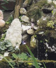Wellness-Scheune Kraftshof Bild 1