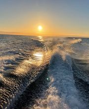 Capri Boat Rental immagine 6