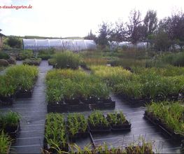 Garten- und Landschaftsbau