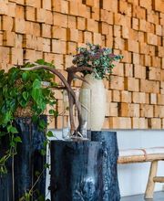 ibis Styles Nagold-Schwarzwald Bild 6