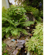 FRANZREB Gartenexperten Bild 1