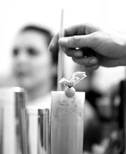 Flair Force - Cocktail- & Showcatering Bild 3